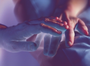 REIKI IS A TECHNIQUE WHERE THE THERAPIST PLACE THEIR HANDS ON THE PATIENT IN ORDER TO BALANCE THE ENERGY OF THE CHAKRAS, AND RESTORE PHYSICAL AND MENTAL BALANCE.